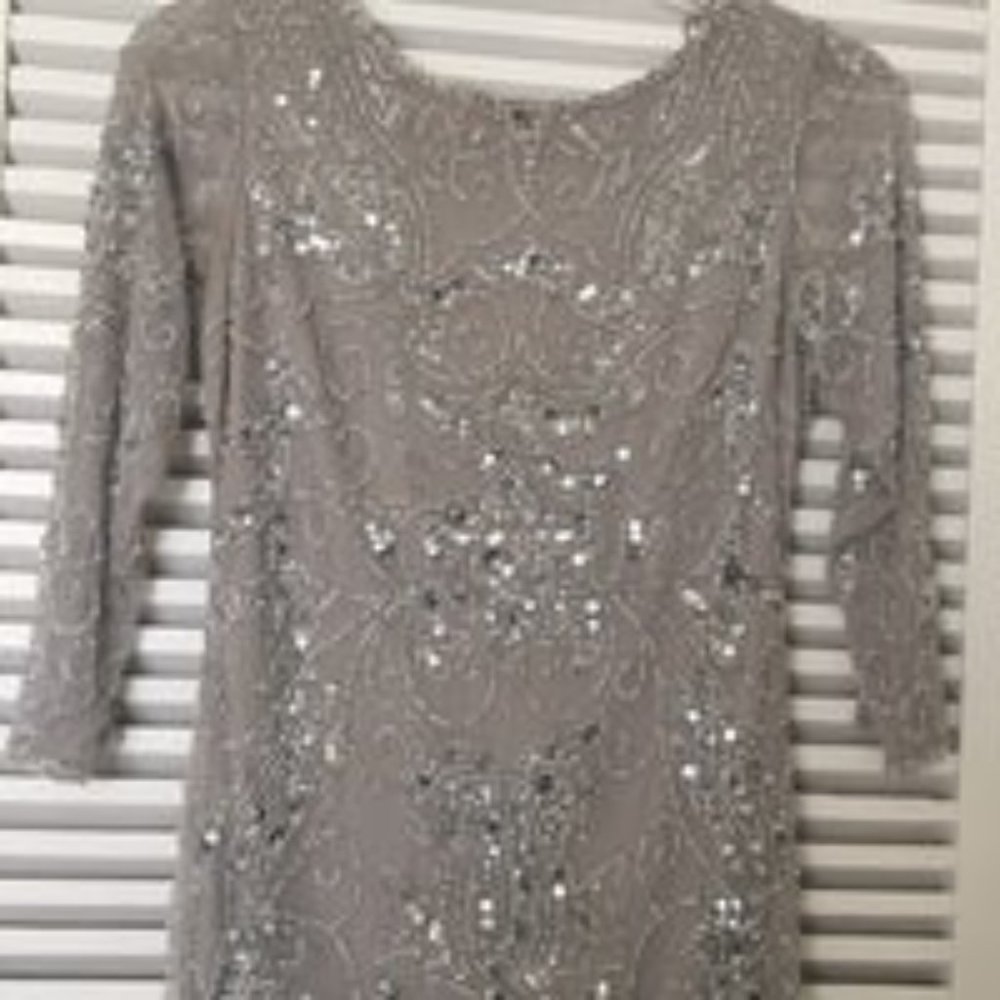 Pizarro Nights Size 6 Silver Mother of Bride Gown - Picture 4 of 6